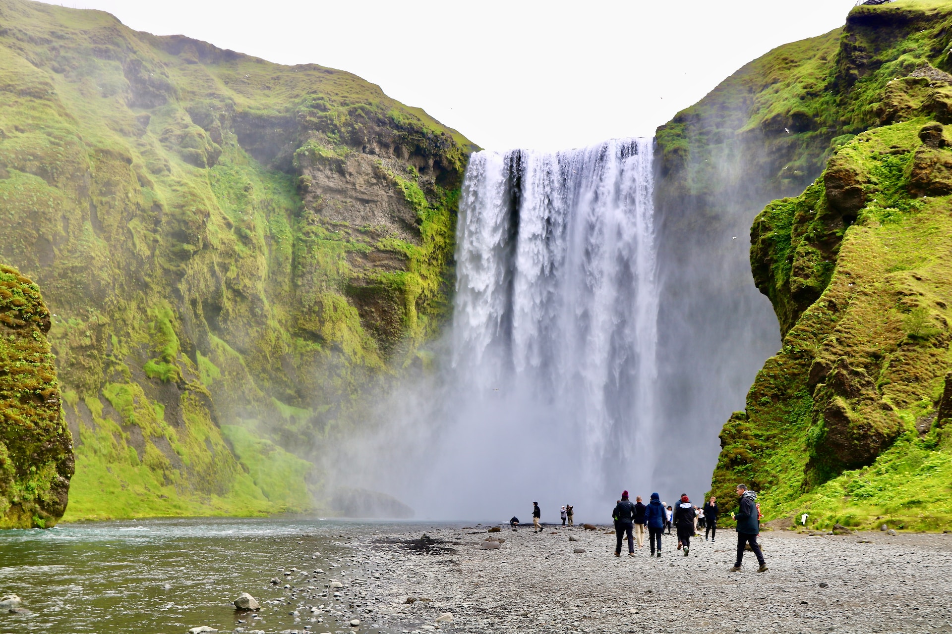 Steps to Mastering Iceland's Language - Big Dog Growlers